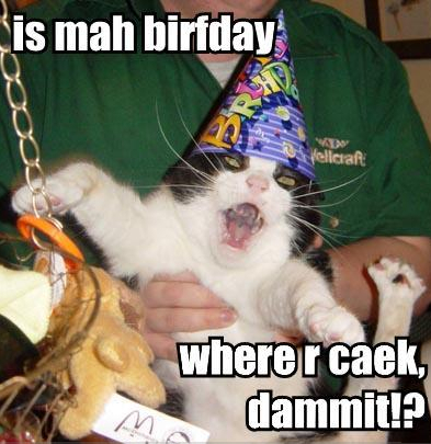 [catbirthday.jpg]