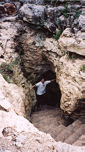 [a stacey cenote entrance.JPG]