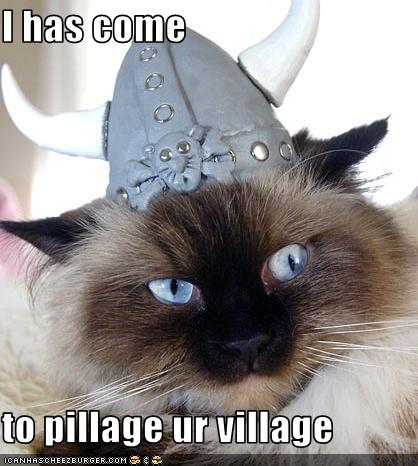 [funny-pictures-village.jpg]