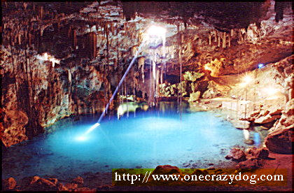 [Cenote_1.jpg]