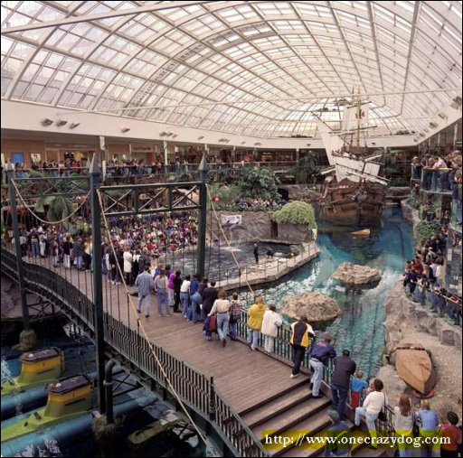 [westedmontonmall.jpg]