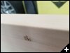 [20180424 162357]