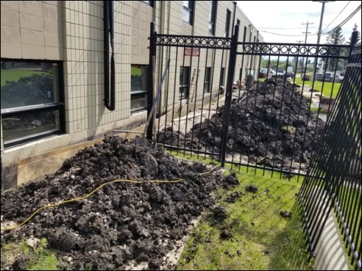 [20190703_160552.jpg]