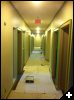 [photo401]