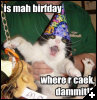 [catbirthday]