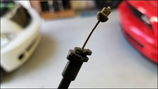 [20180511_171705.jpg]
