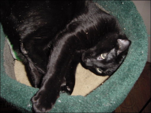 [DSC01177.JPG]