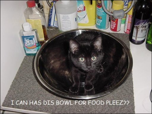 [mayabowl.JPG]