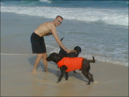 [matts_dogs_in_cozumel.JPG]