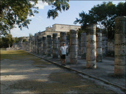 [z stacey 1000 pillars.jpg]