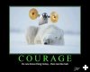 [courage]