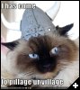 [funny-pictures-village]