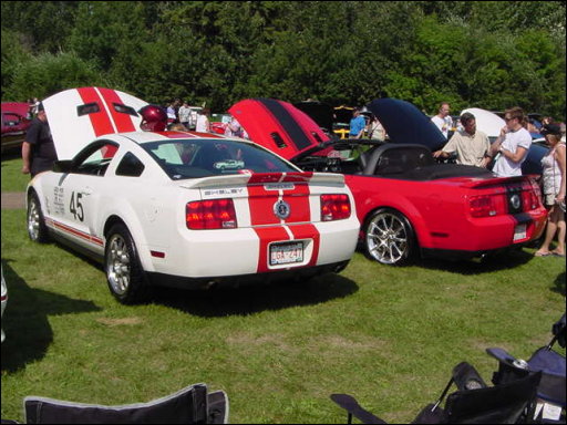 [DSC00126.JPG]