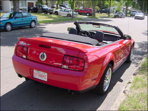 [DSC09651.JPG]