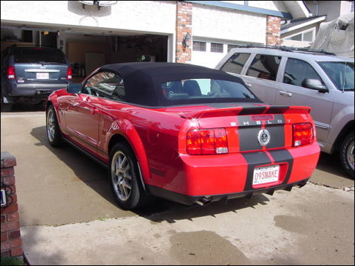 [DSC00548.JPG]