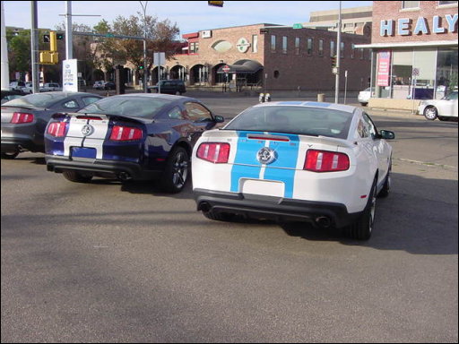 [DSC00731.JPG]