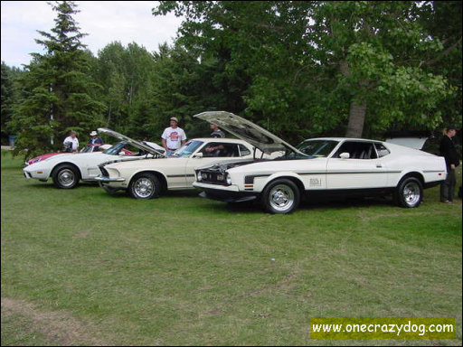 [DSC02406.JPG]