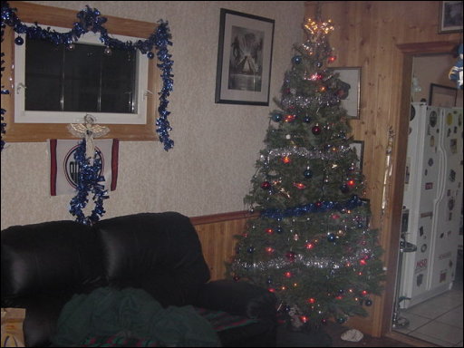 [Christmas Tree 2002.jpg]